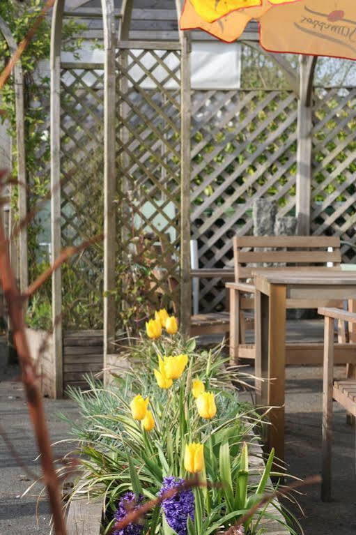 Estuary Lodge Motel B&B Talsarnau Bagian luar foto